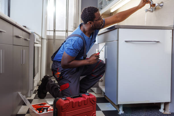 Best Commercial Plumbing Services  in Sugar City, ID